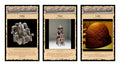 Odin Conversation Cards | 18-Card Historical Set