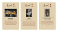 Boudica Conversation Cards | 17-Card Historical Set